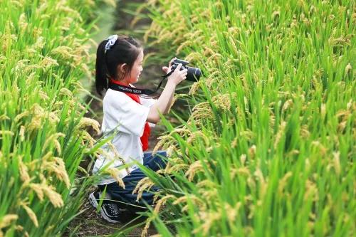 江阴市北漍中心小学：摄影实践